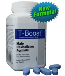 [Picture: T-BOOST] 
